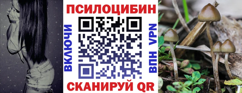 Псилоцибиновые грибы Magic Shrooms  Полысаево 